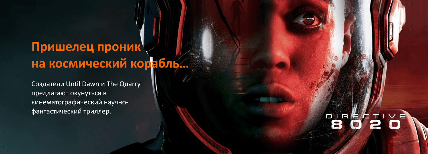 DIRECTIVE 8020
