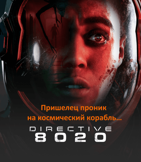 DIRECTIVE 8020