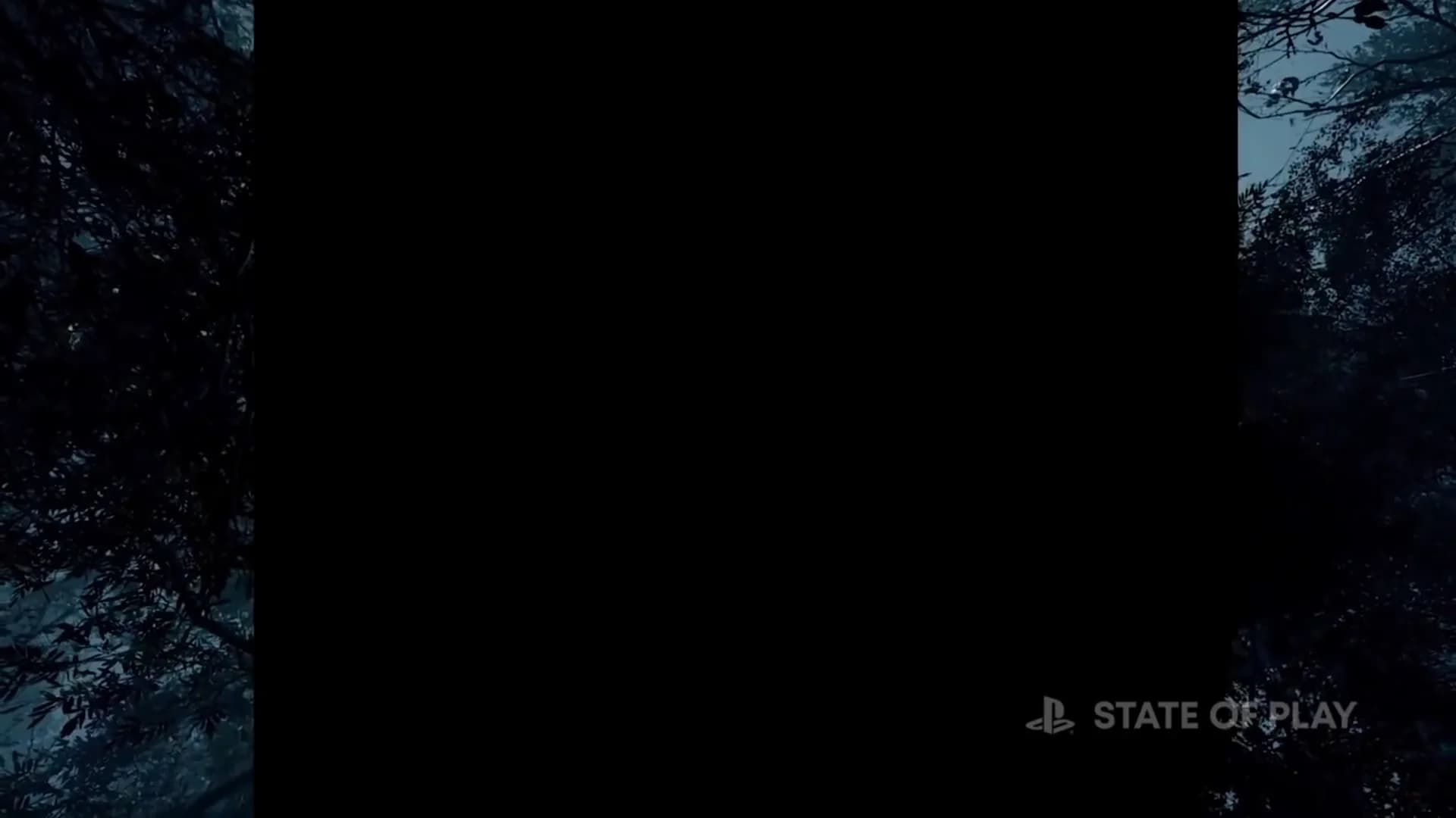 Смотреть видео 3