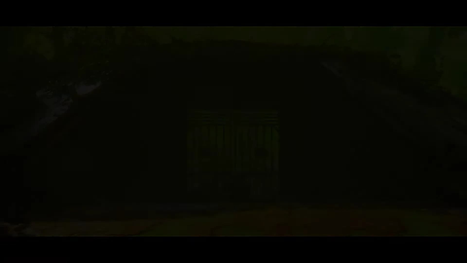 Смотреть видео 3